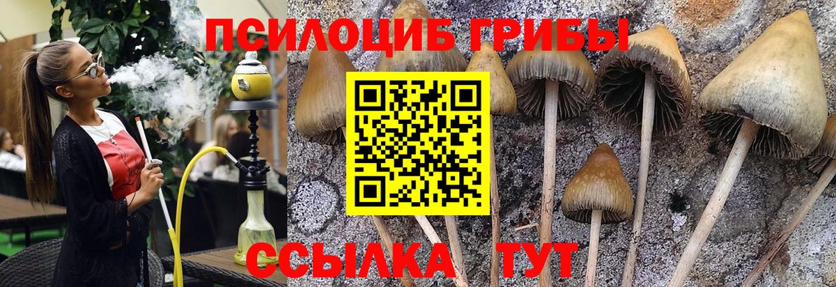 Псилоцибиновые грибы мухоморы Белая Калитва